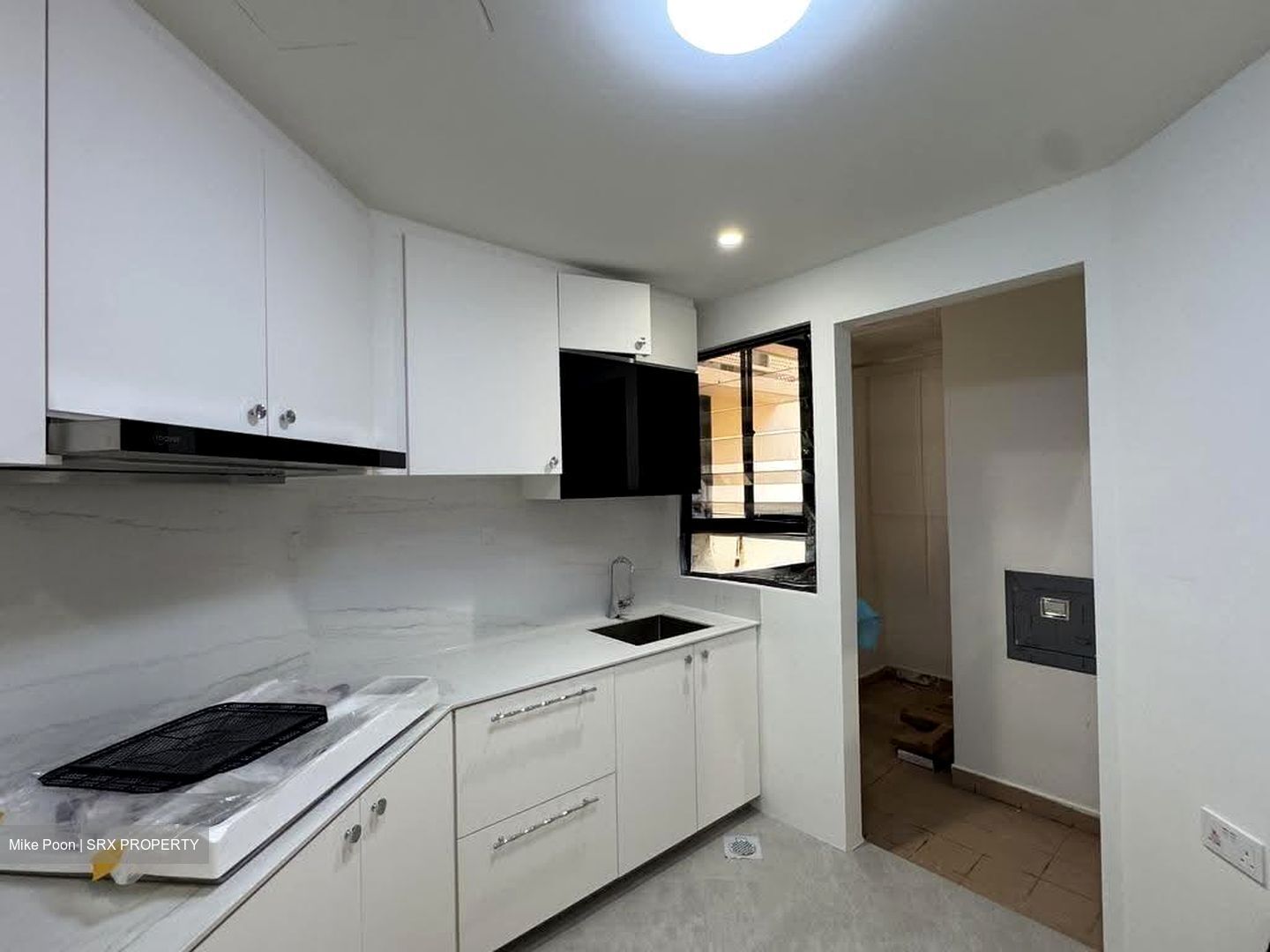 Dover Parkview (D5), Condominium #632901471